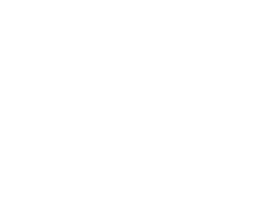 东升国际